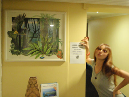 images_049