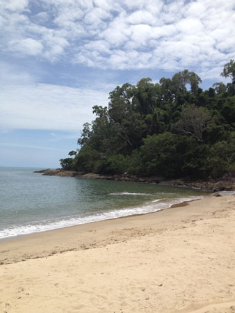 images_206