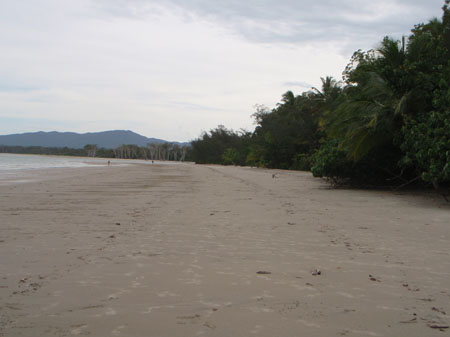images_216