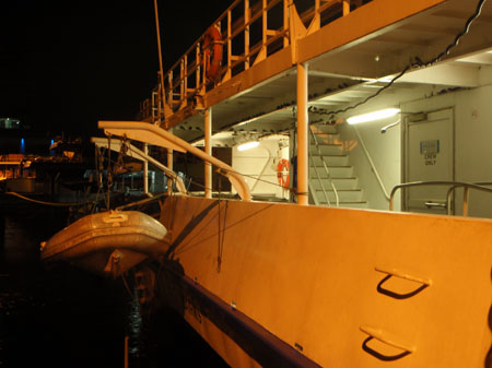 images_233