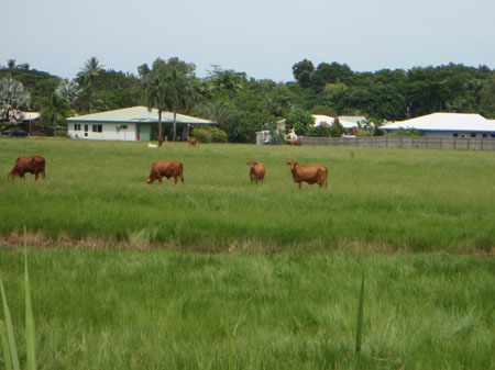 images_236