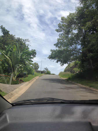 images_273