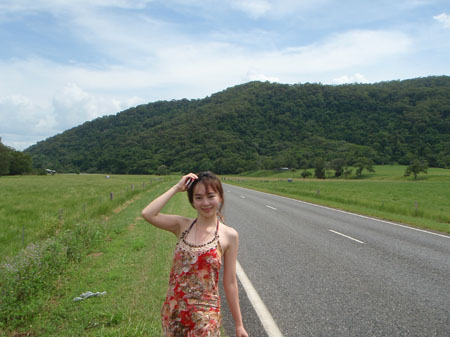 images_279