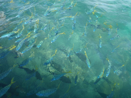 images_280