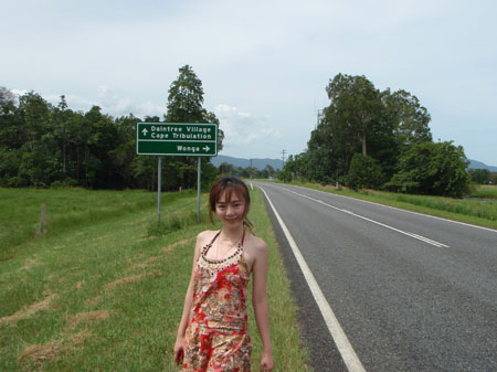 images_284