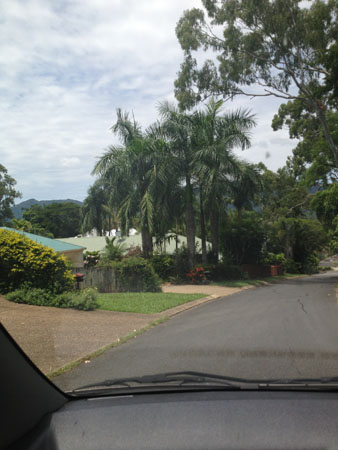 images_312