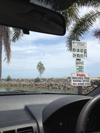 images_319