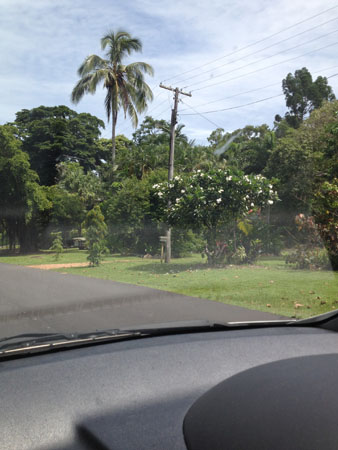 images_330