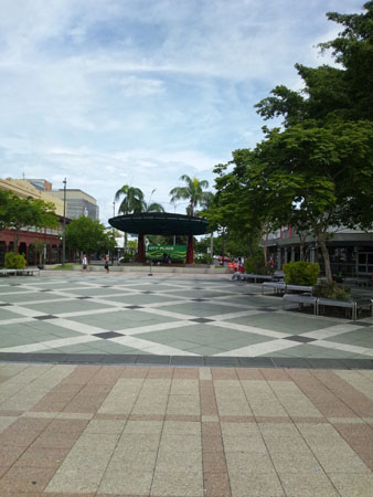 images_335