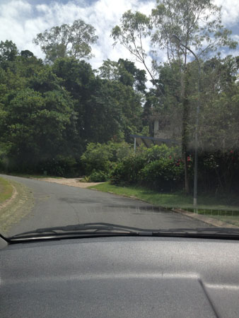 images_362