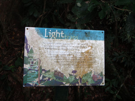 images_364