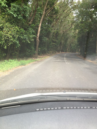 images_371