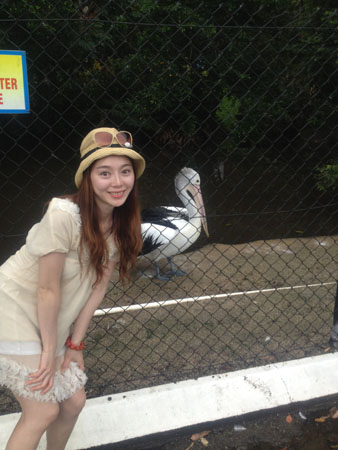 images_377