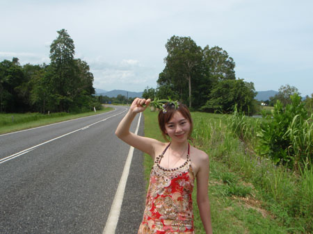 images_401