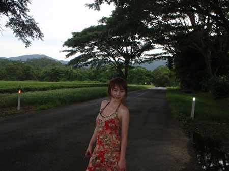 images_414