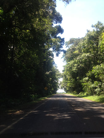 images_419