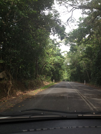 images_422