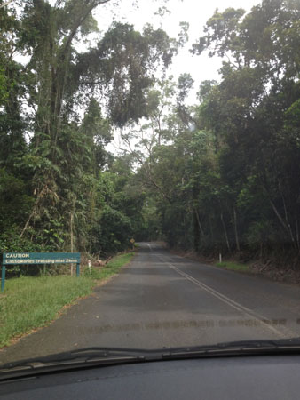 images_440
