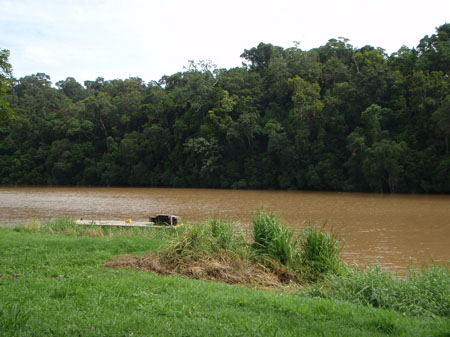 images_442
