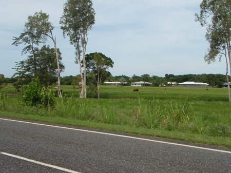 images_448