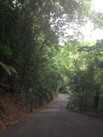 images_457