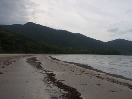 images_461