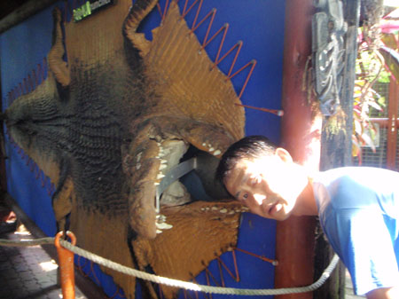 images_463