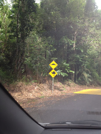 images_468