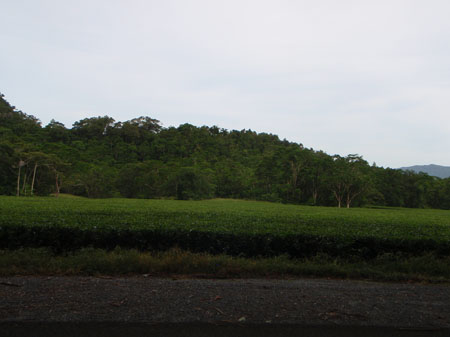 images_472