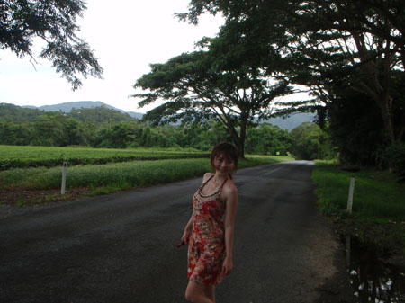 images_473