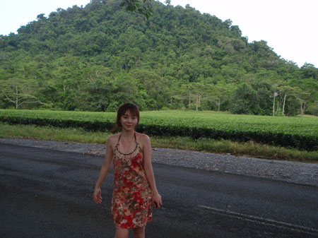 images_484