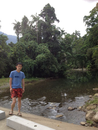 images_495