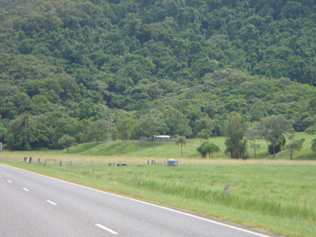 images_496