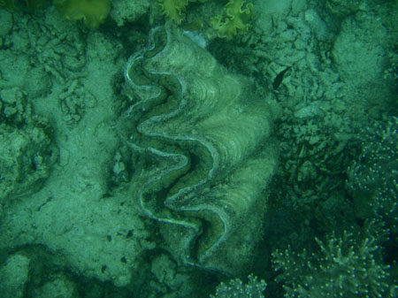 images_501