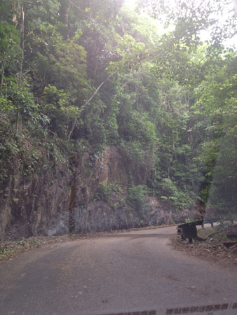 images_504