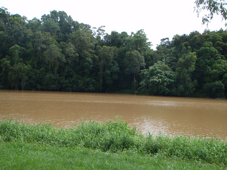 images_520