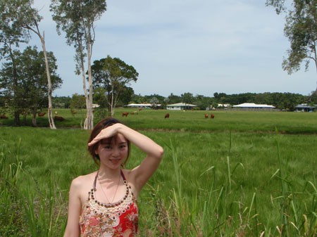 images_525