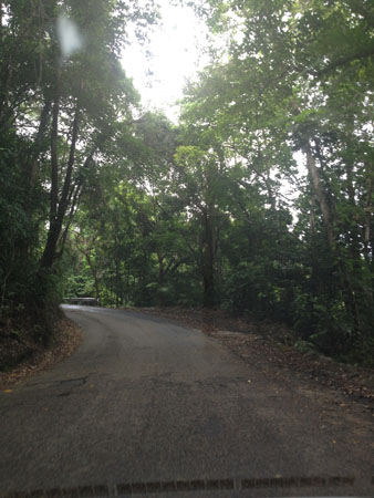 images_531