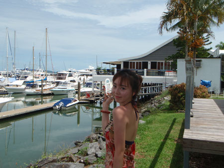 images_533