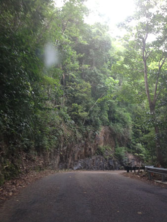 images_539