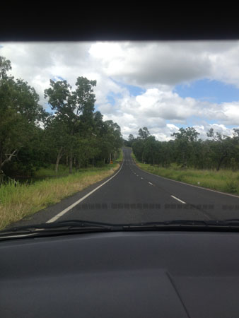 images_549