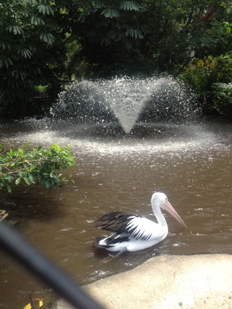 images_558
