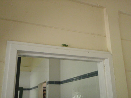 images_571