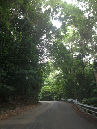 images_618