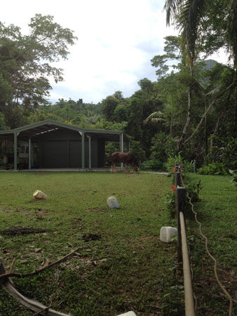 images_637