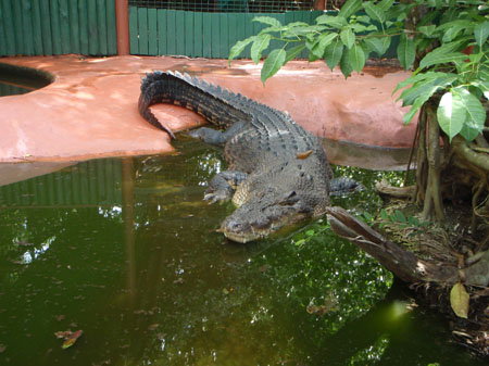 images_646