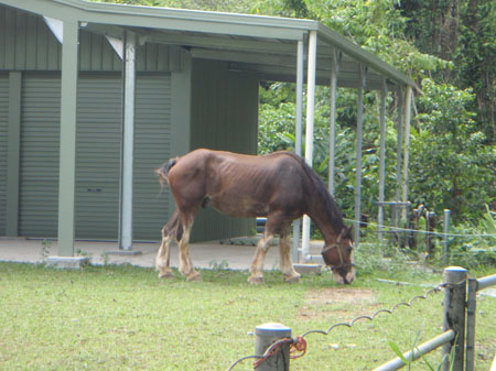 images_661