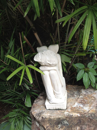 images_674