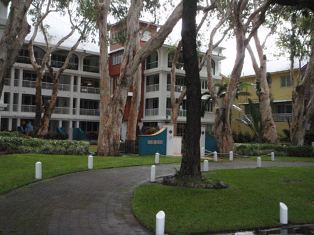 images_677