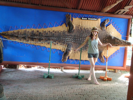 images_695